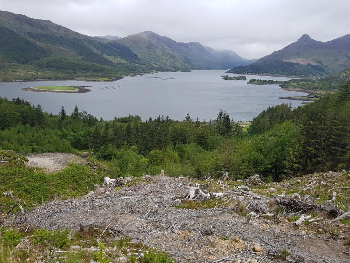 Oakview * Glencoe